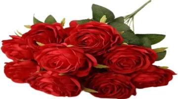 بوكيهات ورد متنوعة تناسب ميزانيتك قبل عيد الحب لتعزيز لحظاتك الخاصة